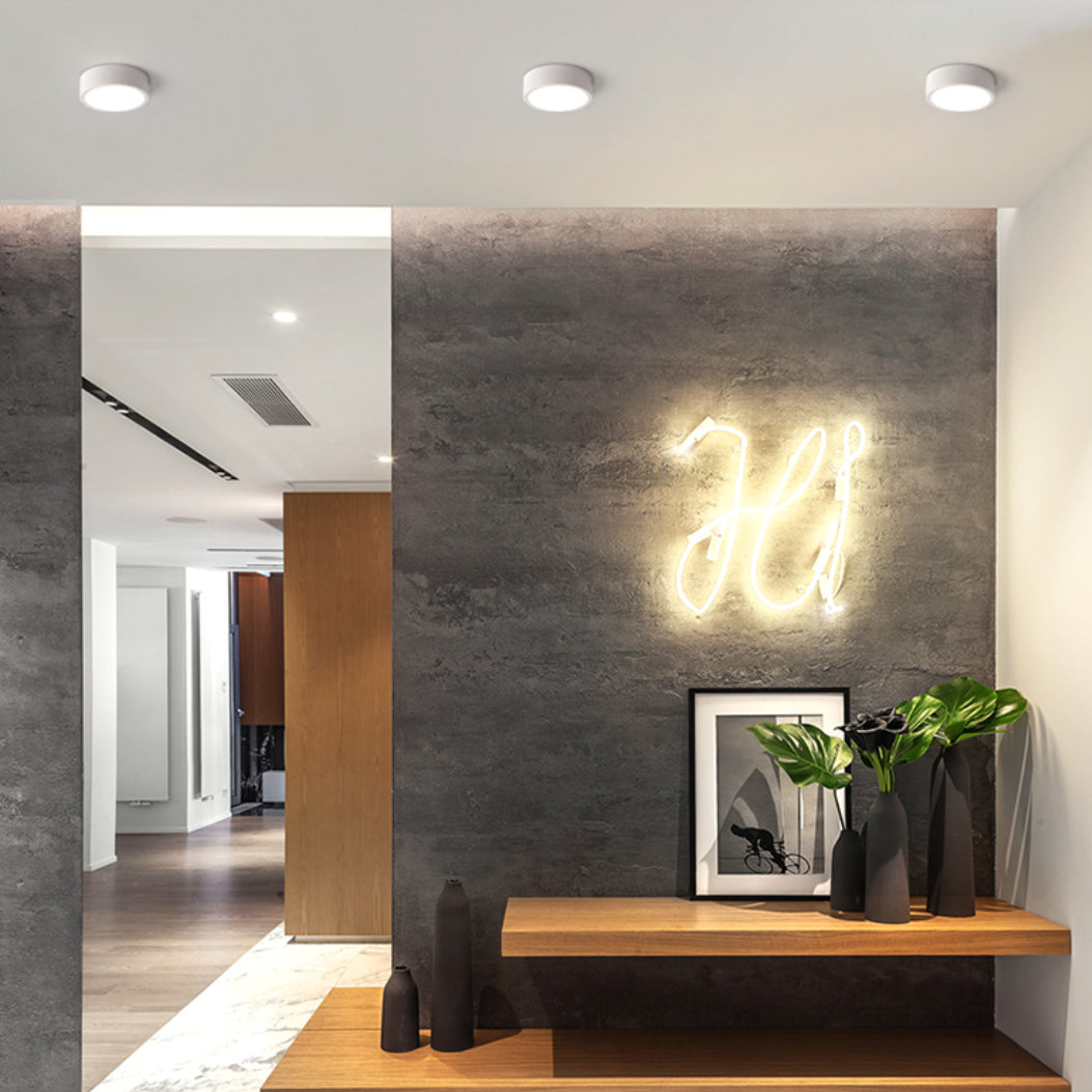 Auberena Acrylic Ceiling Light-Moonnatur