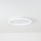 Lovenevia Metal Ceiling Light-Moonnatur