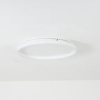 Lovenevia Metal Ceiling Light-Moonnatur