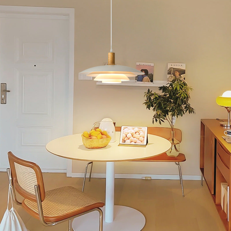 Jardenwren Metal Pendant Light-Moonnatur