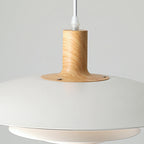 Jardenwren Metal Pendant Light-Moonnatur