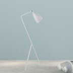 Garnelcove Metal Floor Lamp-Moonnatur