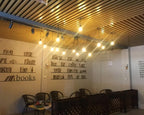 Haverlyn Metal Chandelier-Moonnatur