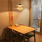 Erlenhaven Metal Pendant Light-Moonnatur