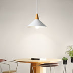 Faldenwick Metal Pendant Light-Moonnatur