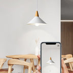 Faldenwick Metal Pendant Light-Moonnatur