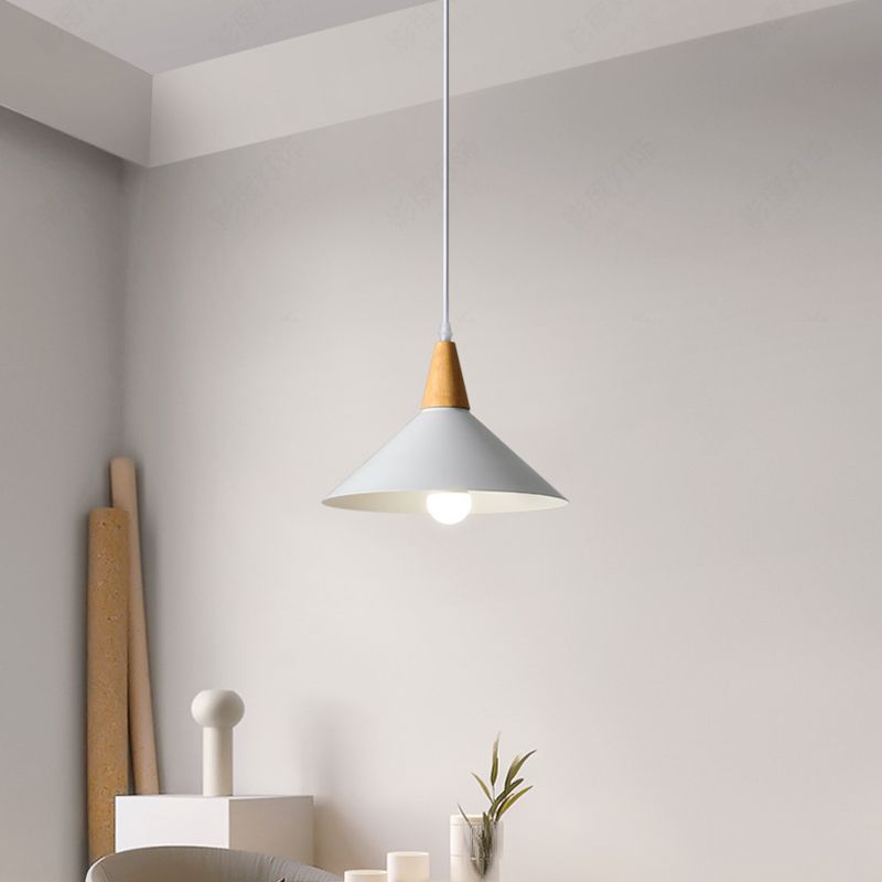 Faldenwick Metal Pendant Light-Moonnatur
