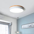Inverwren Acrylic Ceiling Light-Moonnatur