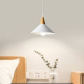 Faldenwick Metal Pendant Light-Moonnatur
