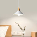 Faldenwick Metal Pendant Light-Moonnatur