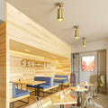Veyreneth Metal Ceiling Light-Moonnatur