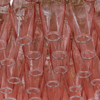 Hadrenelyn Glass Chandelier-Moonnatur