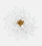 Redrenwyn Glass Chandelier-Moonnatur
