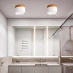 Cardelwell Acrylic Ceiling Light-Moonnatur