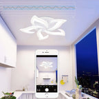 Islenash Acrylic Ceiling Light-Moonnatur