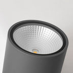 Ivrenena Metal Ceiling Light-Moonnatur