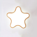 Hadrenrose Acrylic Ceiling Light-Moonnatur