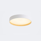 Yarrelenelle Acrylic Ceiling Light-Moonnatur