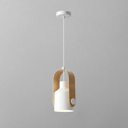 Oakenelis Metal Pendant Light-Moonnatur