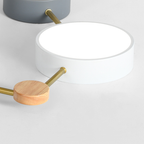 Cavenlyn Acrylic Ceiling Light-Moonnatur