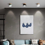 Cardelwell Acrylic Ceiling Light-Moonnatur
