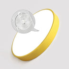 Renverfield Acrylic Ceiling Light-Moonnatur