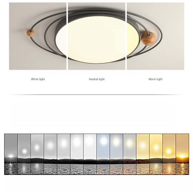 Ferrowley Acrylic Ceiling Light-Moonnatur
