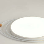 Ferrowley Acrylic Ceiling Light-Moonnatur