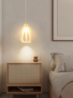 Cardenaria Acrylic Pendant Light-Moonnatur