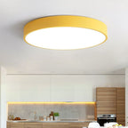 Renverfield Acrylic Ceiling Light-Moonnatur
