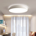 Rovencove Acrylic Ceiling Light-Moonnatur
