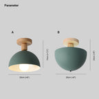 Queneleris Metal Ceiling Light-Moonnatur