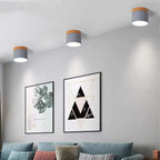 Cardelwell Acrylic Ceiling Light-Moonnatur