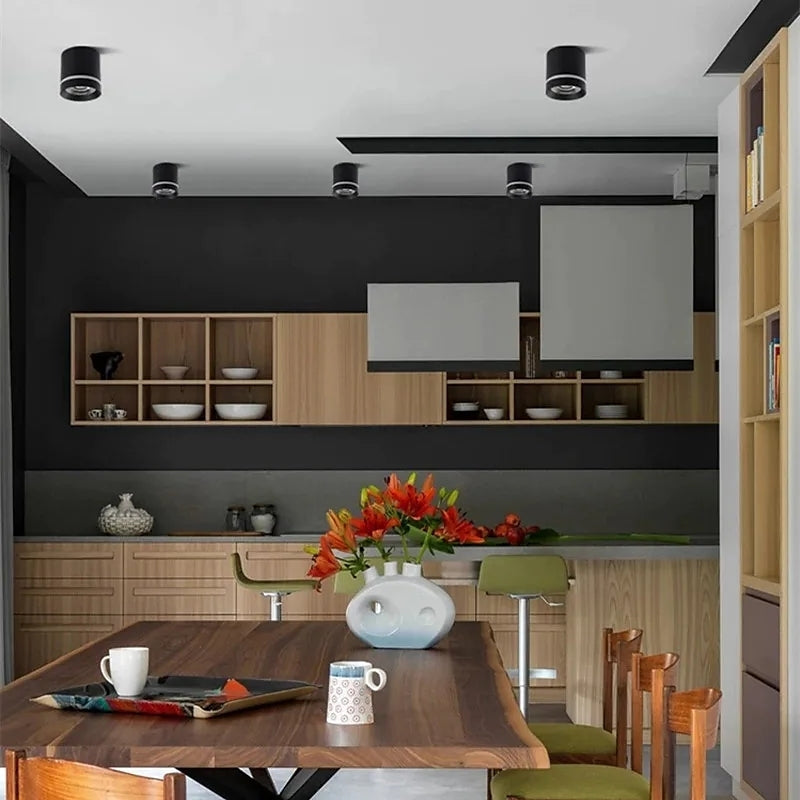 Zorrenora Aluminium Ceiling Light-Moonnatur