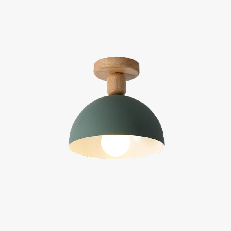 Queneleris Metal Ceiling Light-Moonnatur
