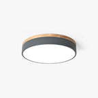 Inverwren Acrylic Ceiling Light-Moonnatur