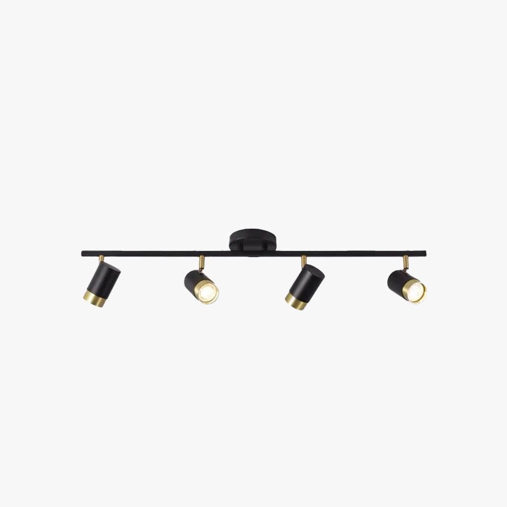 Tildenash Metal Ceiling Light-Moonnatur