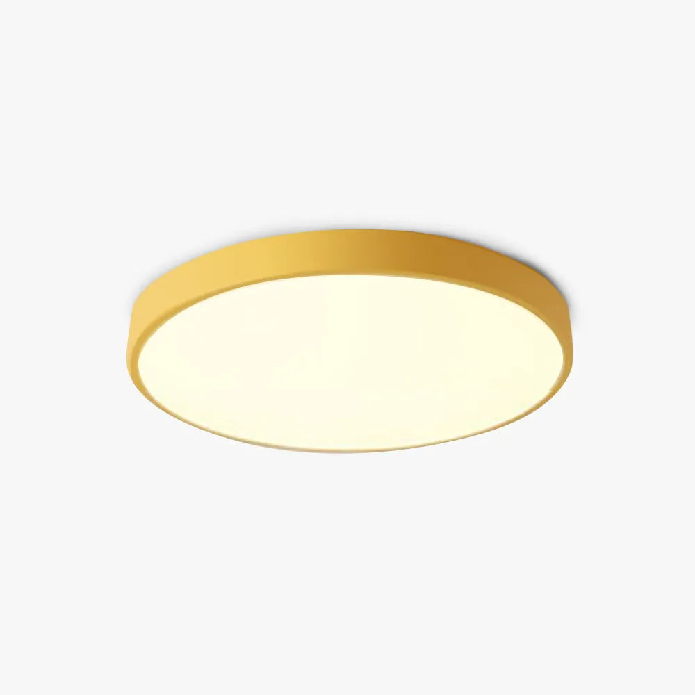 Renverfield Acrylic Ceiling Light-Moonnatur