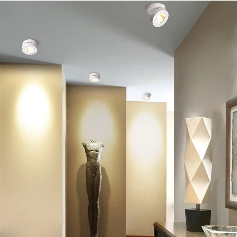 Elsenheath Aluminium Ceiling Light-Moonnatur