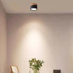 Cardelwell Acrylic Ceiling Light-Moonnatur