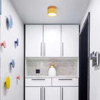 Cardelwell Acrylic Ceiling Light-Moonnatur