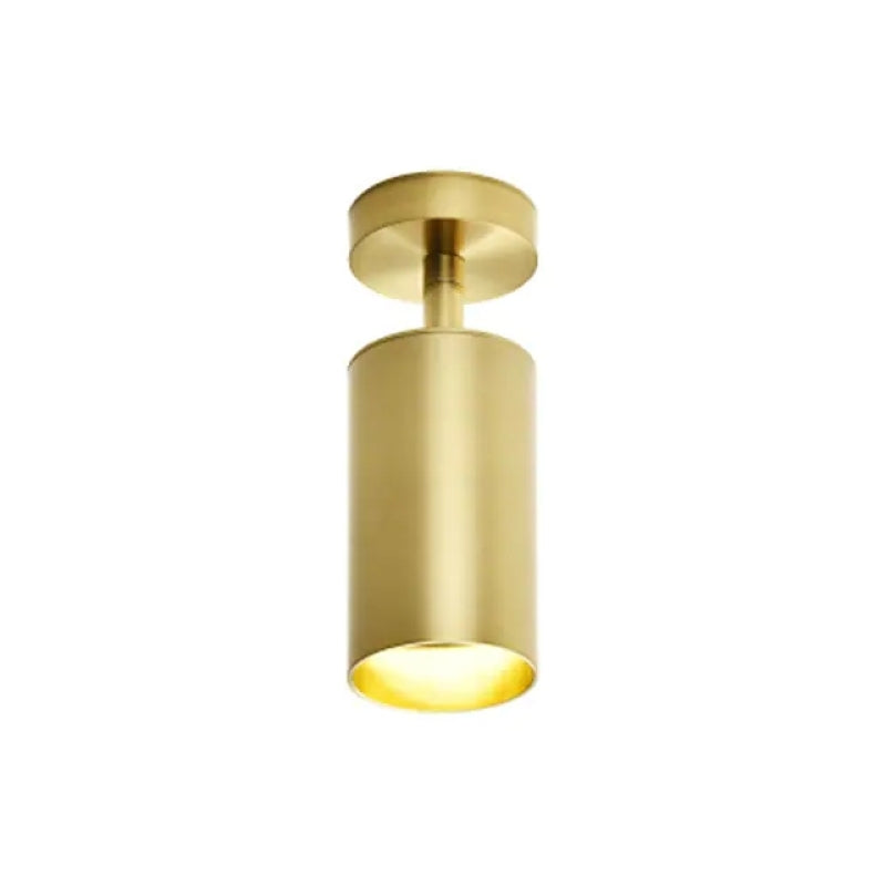 Veyreneth Metal Ceiling Light-Moonnatur