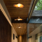 Carnelenis Resin Pendant Light-Moonnatur