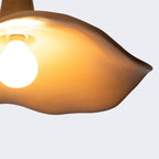Carnelenis Resin Pendant Light-Moonnatur