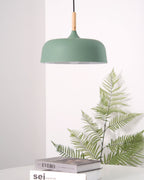 Xovelia Zinc Alloy Pendant Lamp-Moonnatur