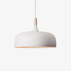 Xovelia Zinc Alloy Pendant Lamp-Moonnatur