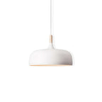 Xovelia Zinc Alloy Pendant Lamp-Moonnatur