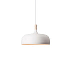 Xovelia Zinc Alloy Pendant Lamp-Moonnatur