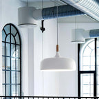 Xovelia Zinc Alloy Pendant Lamp-Moonnatur