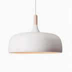 Xovelia Zinc Alloy Pendant Lamp-Moonnatur